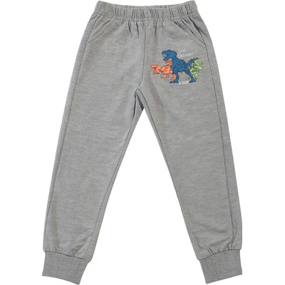 xcena Chlapecké bavlněné s dinosaury