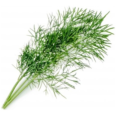 Veritable Вложка за семена Lingot основни билки копър (lingot-koper)