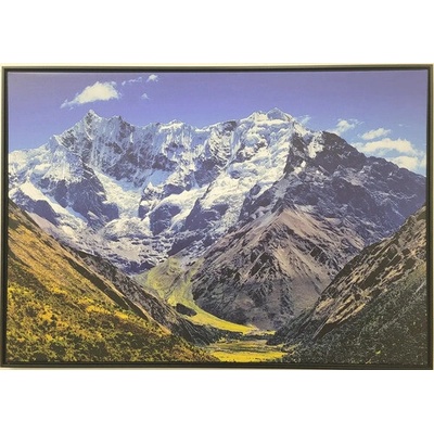 Obraz SHADOW 59x84cm Scenérie