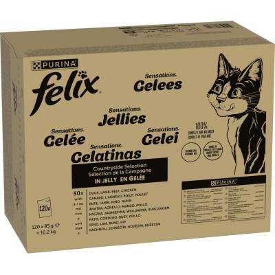 Jumbo balení Felix Sensations Jellies hovězí, kuře, kachna, jehněčí 120 x 85 g