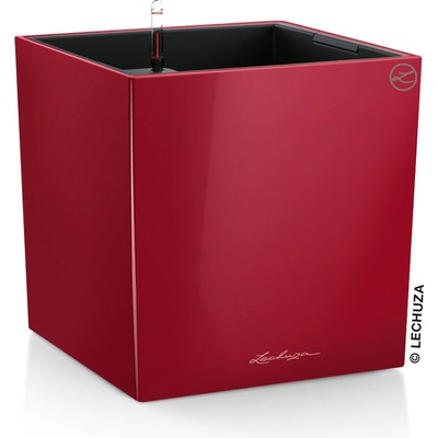 Lechuza Cube Premium 50 Scarlet komplet