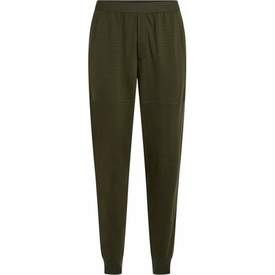 Icebreaker Mens Merino 300 RealFleece Descender Jogger Dark Loden