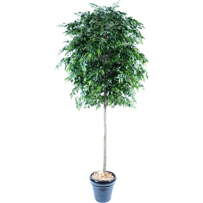 Luxusní umělý strom Ficus Natasja Tree, 270cm