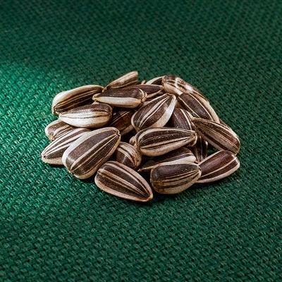 AROS slunečnice proužkovaná