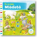 Čo sa deje – Mláďatá