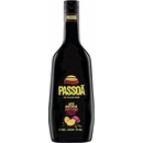Passoã 17% 1 l (holá láhev)