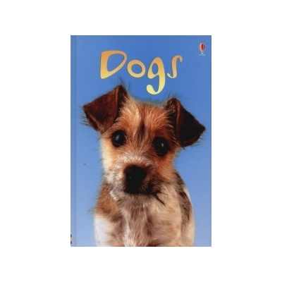 Dogs