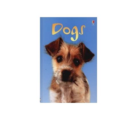 Dogs