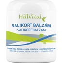 Masážne prípravky HillVital Salikort masť na bolesť svalov 250 ml