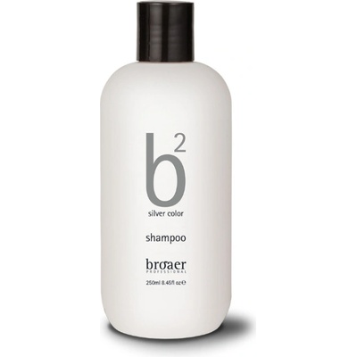 BROAER b2 Silver Color šampón pre sivé a odfarbené vlasy 250 ml