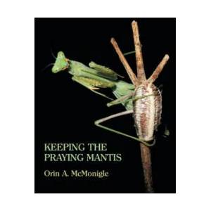 Keeping the Praying Mantis | Orin McMonigle (2013)