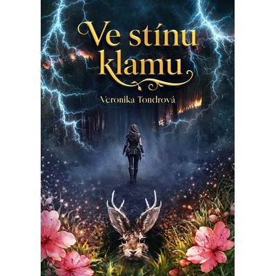 Ve stínu klamu