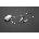 Cellularline Зарядно за телефон Cellularline - it-8976 (IT-8976)