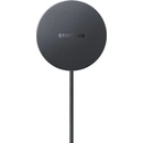 Samsung EP-P2900TBEGWW