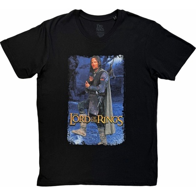 Lord Of The Rings Aragon Standing Homage