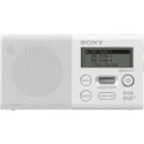 Sony XDR-P1D