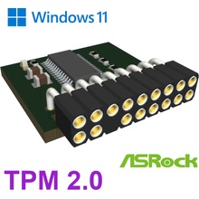 IAX C-101 C-modul TPM 2.0