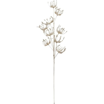 Konár daucus šampáň 70cm 245945