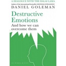 Destructive Emotions - Daniel Goleman
