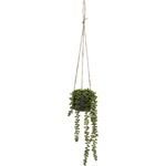 Casa Selección Изкуствено растение (височина 37 cm) Senecio - Casa Selección (805324)