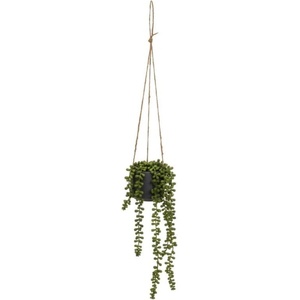 Casa Selección Изкуствено растение (височина 37 cm) Senecio - Casa Selección (805324)