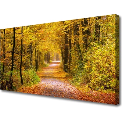 Obraz Canvas Les rastlina cestička príroda 100x50 cm