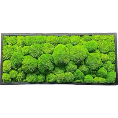 Machový obraz - Kopčekový mach Druh rámu: 50x30cm