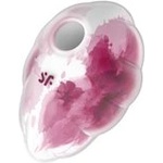 Satisfyer Cloud Dancer Red (P24577)