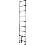 Bisonte STR1026 9 step (BT1006284)