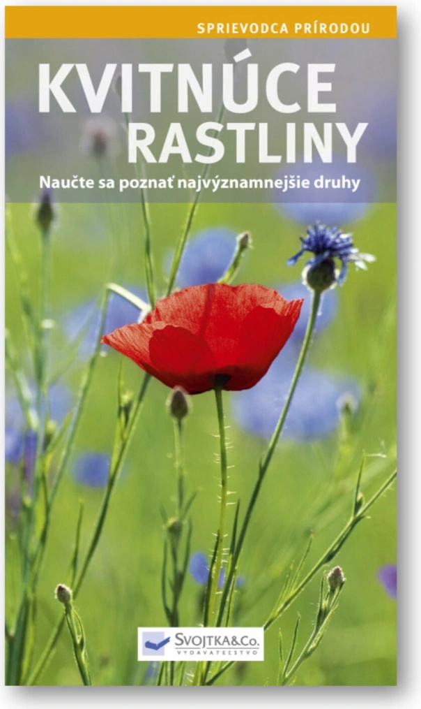Kvitnúce rastliny