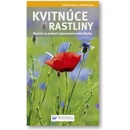 Kvitnúce rastliny