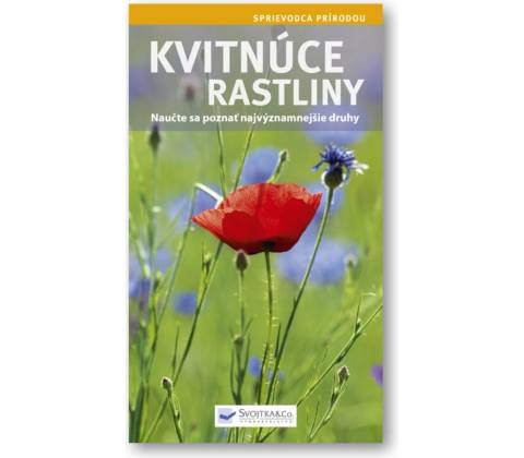 Kvitnúce rastliny