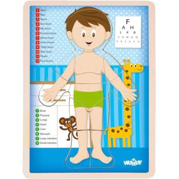 Woodyland Човешкото тяло, момче - дървен пъзел (91922)