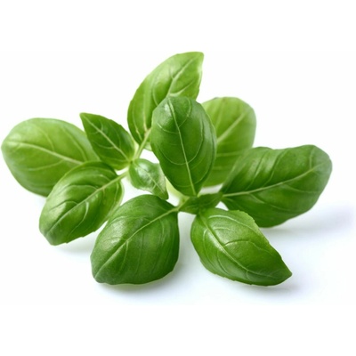 Sazenice Click and Grow Bazalka SGBA