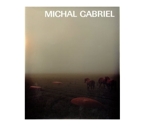 Michal Gabriel
