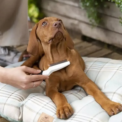 Ferplast Гребен за бълхи за къса и средна козина (85753899)