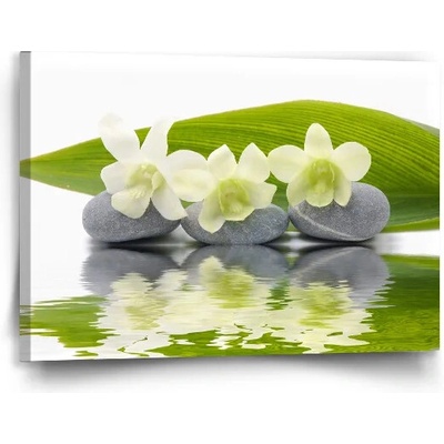 Sablio Obraz Biela orchidea - 90x60 cm