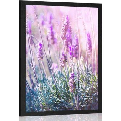 Plakát kouzelné květiny levandule - 40x60 silver