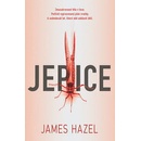 Jepice