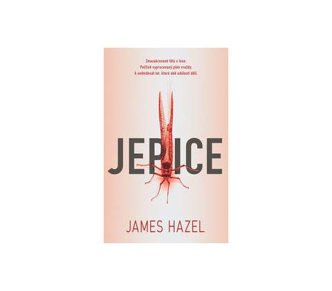Jepice