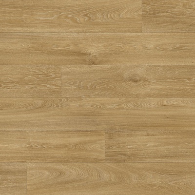 Beaulieu A1 Long Life Pro Master X 2953 2 m 1 m²