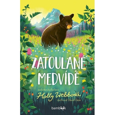 Zatoulané medvídě - Webbová Holly, Dean David