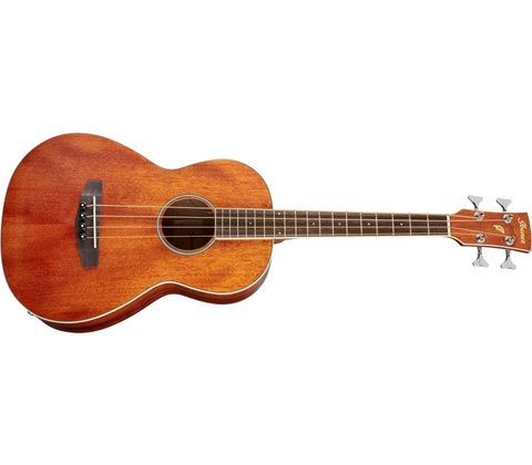 Ibanez PNB14E