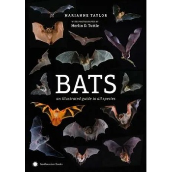 Image 1 of Bats: An Illustrated Guide to All Species