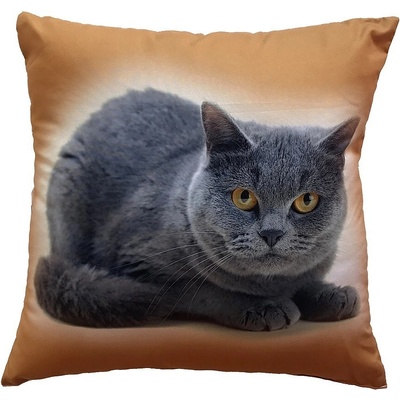 Dadka Foto vankúš Kočka 40x40