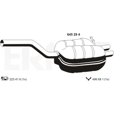 ERNST 645294