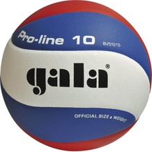 Gala Pro Line 10 BV 5121 S