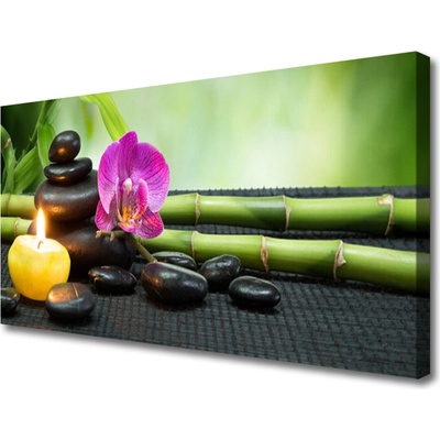 Obraz Canvas Bambus kvet kamene zen 100x50 cm