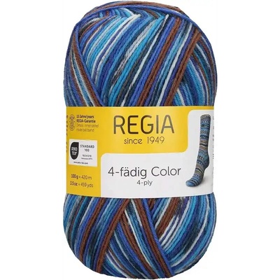 Regia 4-Ply Color 3085 campanula-chestnut color