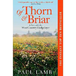 Of Thorn & Briar (ISBN: 9781398535053)